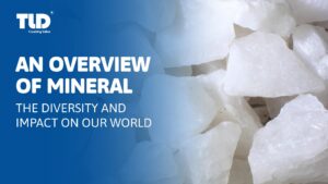 The Diversity And Impact Of Mineral On Our World